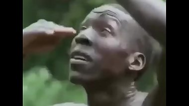 MemeLordDaVI