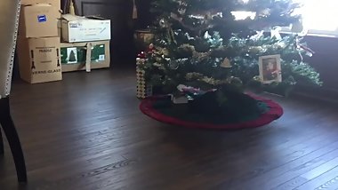 Hot Invisible Silent Lesbians Fucking During The Holidays