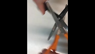 Hot Lesbian scissoring