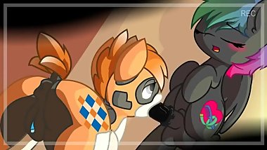 MLP fuckers (credit to original owner)