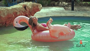 Flamingo (theredfoxlife.com)