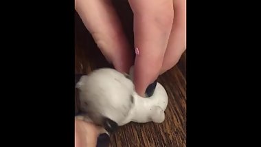 two thick lesbians fuck fast on table