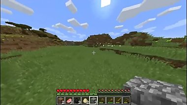 Minecraft LetsPlay : Day 1