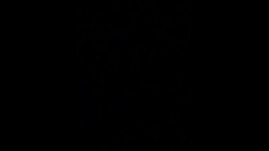 Lesbian Sex in the Dark (Audio)