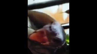 Hermosa cogida a una hermosa Tortuga cogida lesbiana tortuga apasionada :)
